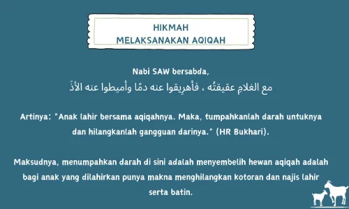 hikmah melaksanakan aqiqah adalah